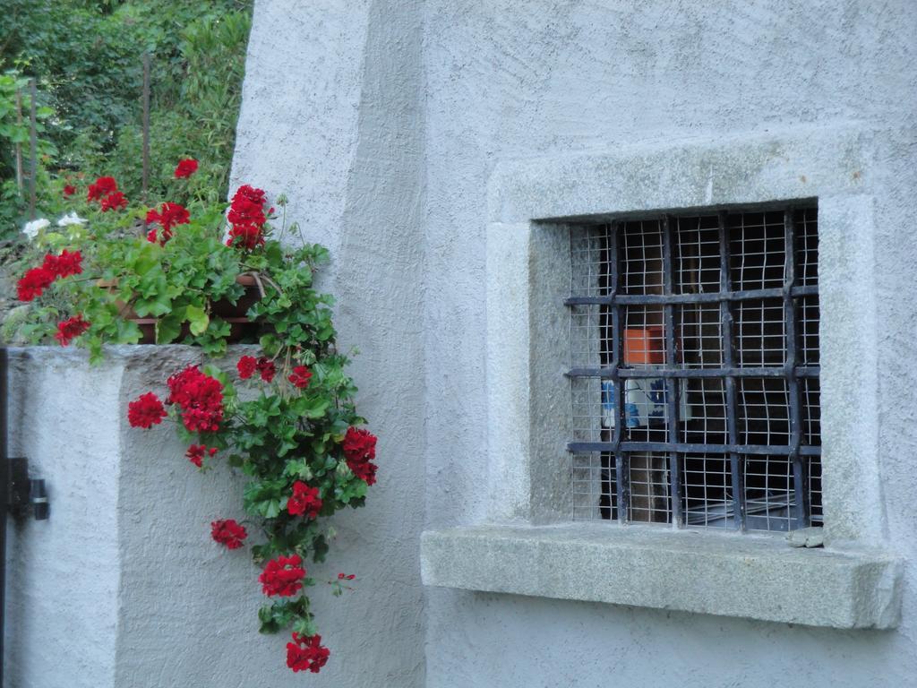Osteria Del Centro Bed & Breakfast Brusio Dış mekan fotoğraf